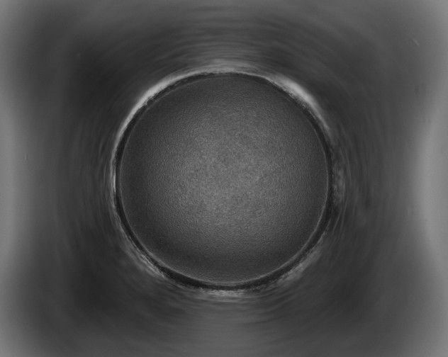 X0000084521280200703021347