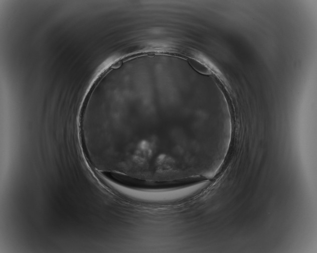 X0000084521283200703021347