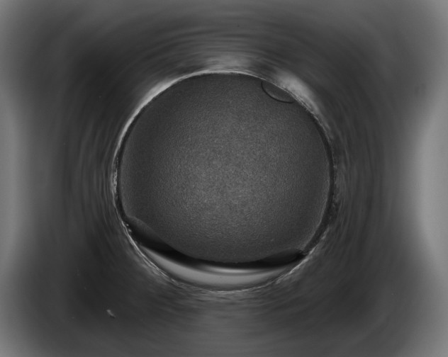 X0000084521284200703021347