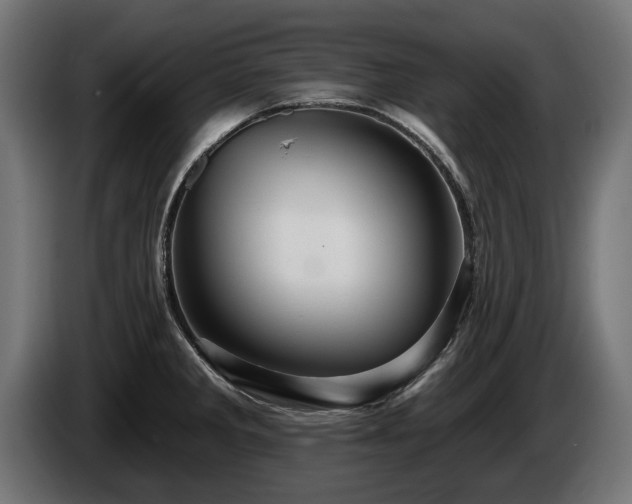 X0000084521285200703021347