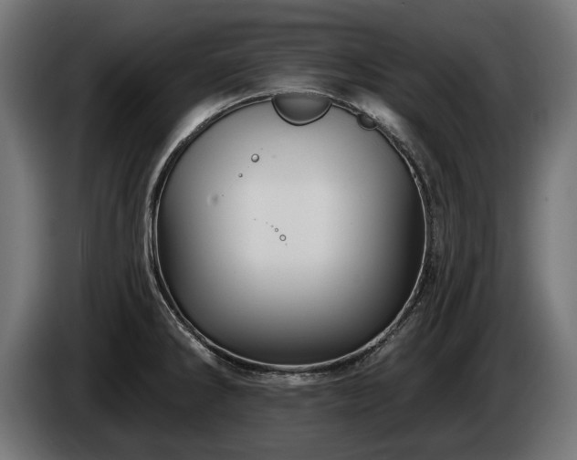 X0000084521286200703021347