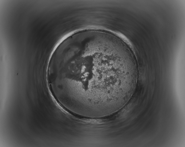 X0000084521287200703021347