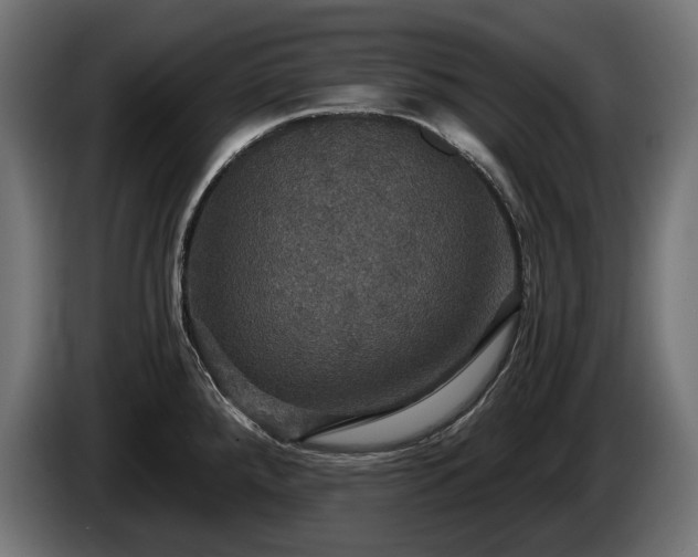 X0000084521288200703021347