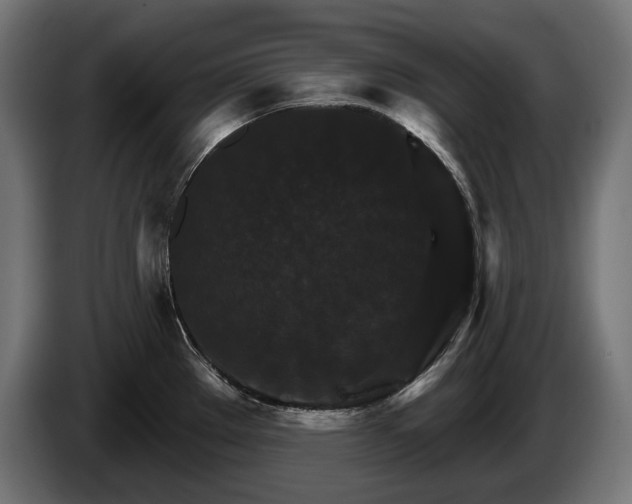 X0000084521289200703021347