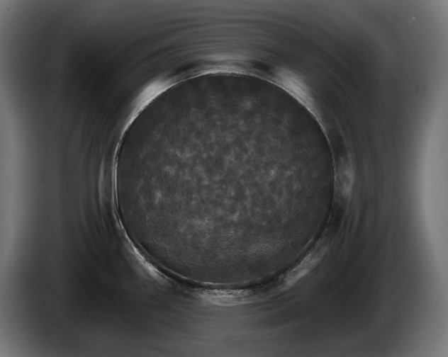 X0000084521290200703021347