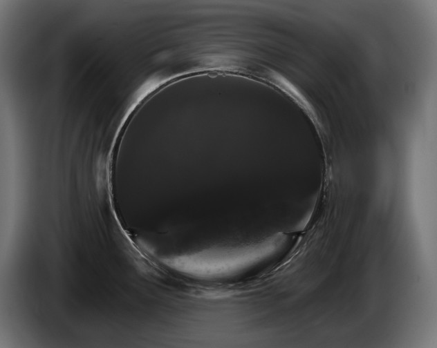 X0000084521291200703021347