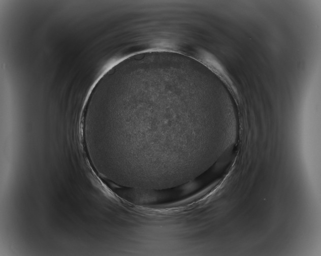 X0000084521292200703021347