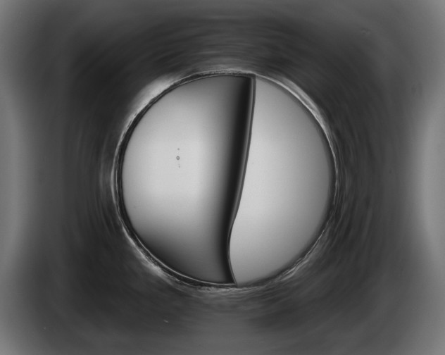 X0000084521293200703021347