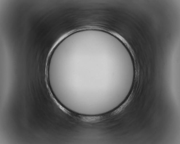 X0000084521294200703021347