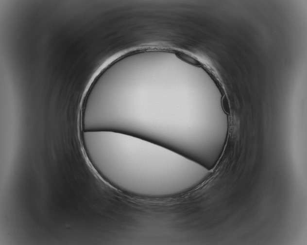 X0000084521295200703021347