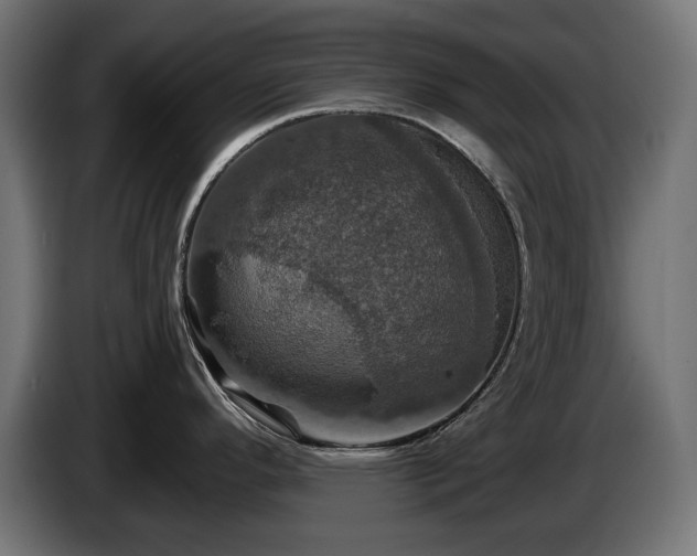 X0000084521296200703021347