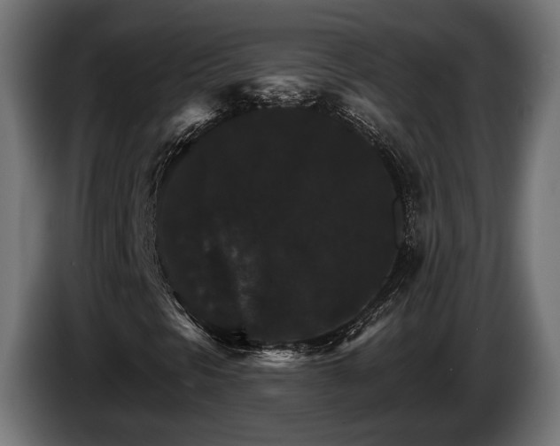 X0000084521297200703021346