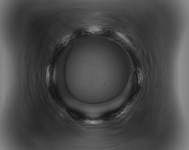 X0000084521298200703021346