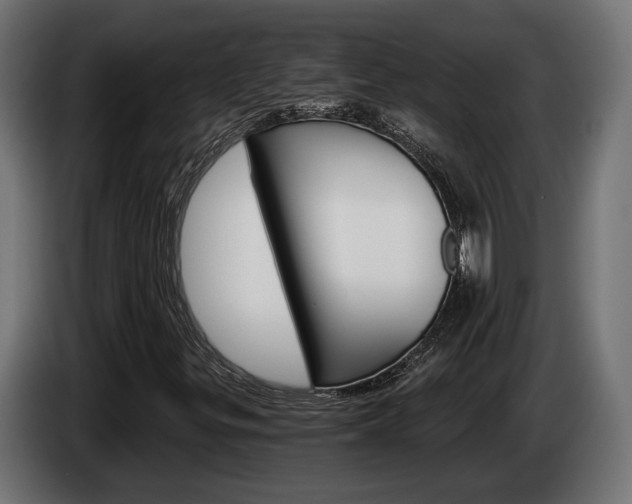 X0000084521299200703021346