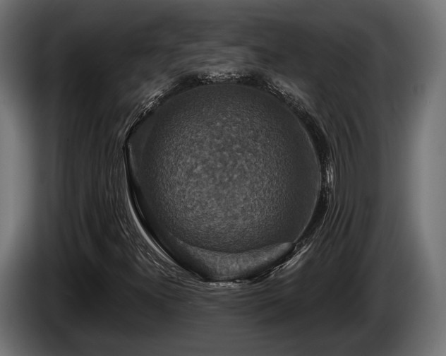 X0000084521300200703021346