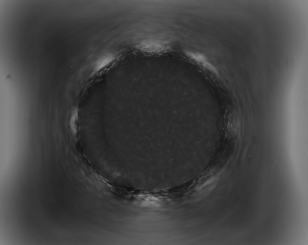 X0000084521301200703021346