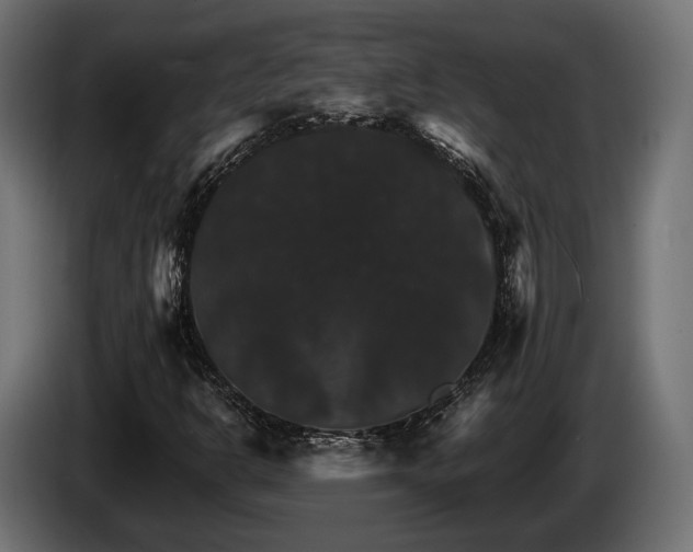 X0000084521302200703021346