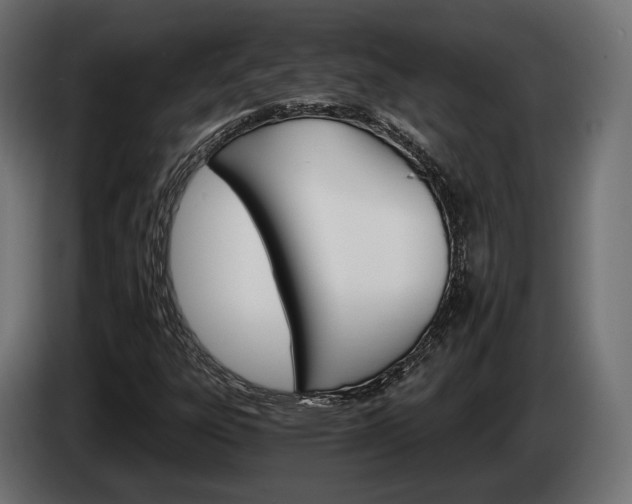 X0000084521303200703021346