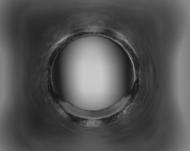 X0000084521304200703021346