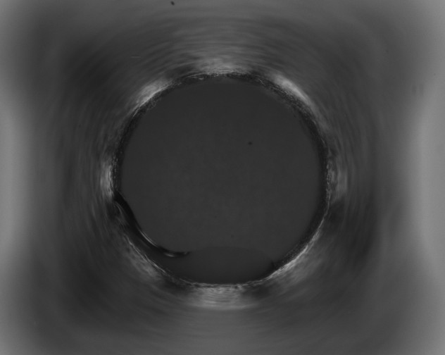 X0000084521305200703021346