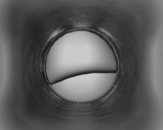 X0000084521306200703021346