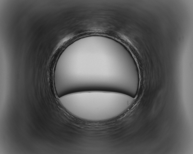 X0000084521307200703021346