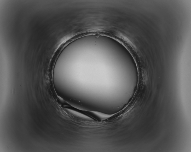 X0000084521308200703021346