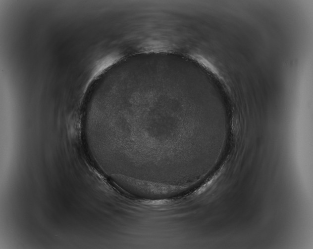 X0000084521309200703021346