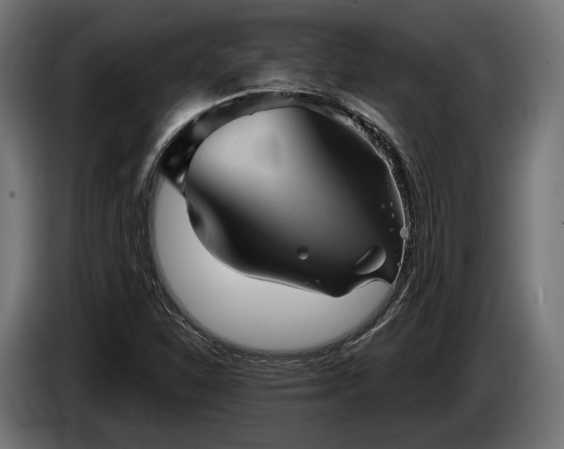 X0000084521310200703021347