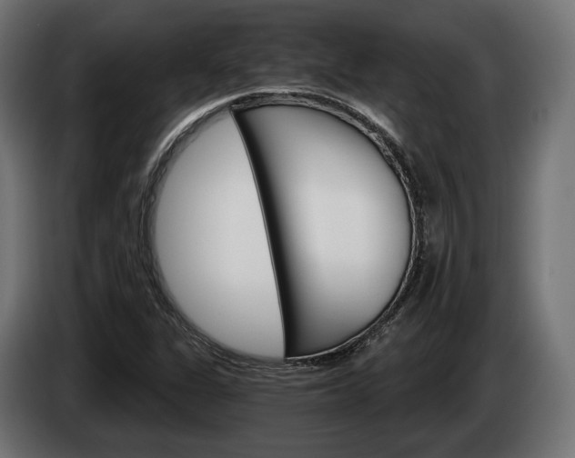 X0000084521311200703021347