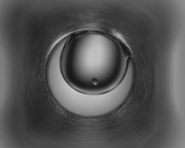 X0000084521312200703021347