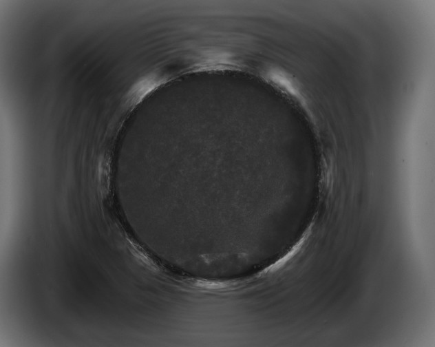 X0000084521313200703021347