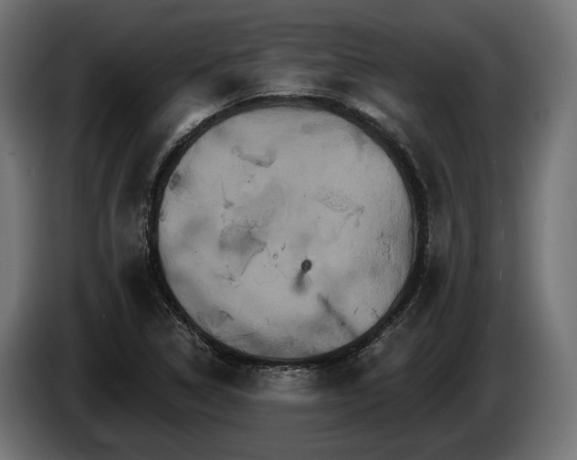 X0000084521314200703021347