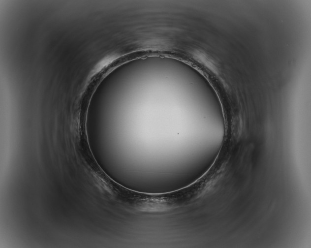 X0000084521315200703021347