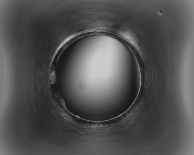 X0000084521316200703021347