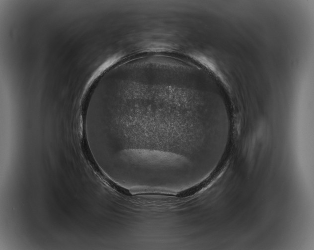 X0000084521317200703021347