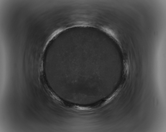 X0000084521318200703021347