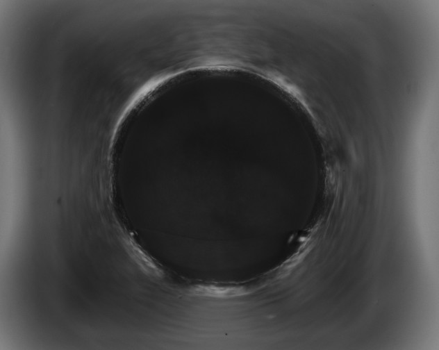 X0000084521319200703021347