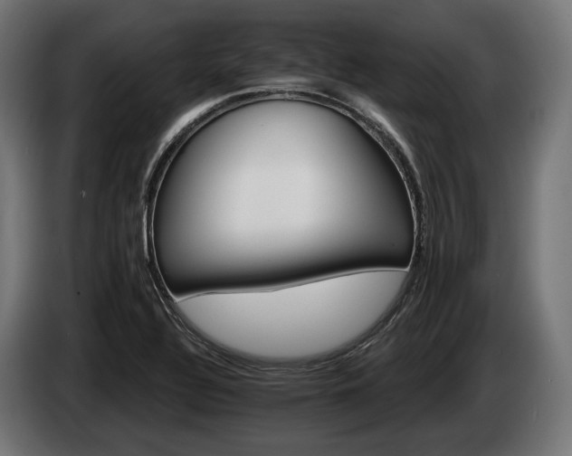 X0000084521320200703021347