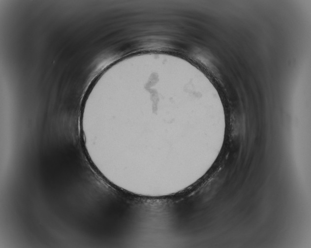 X0000084521322200703021347