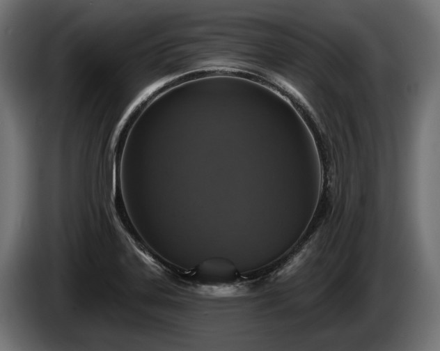 X0000084521323200703021347