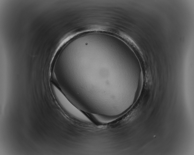 X0000084521324200703021347