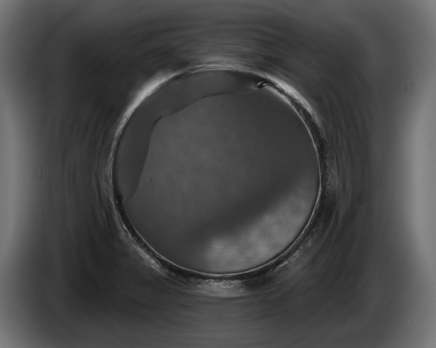 X0000084521325200703021347