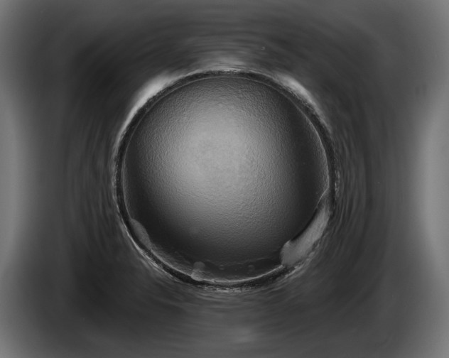 X0000084521326200703021347