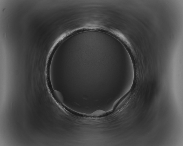 X0000084521327200703021347