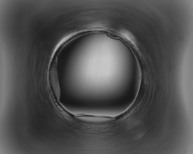 X0000084521328200703021347