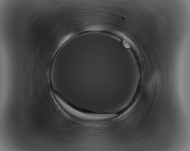 X0000084521329200703021347