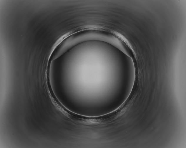 X0000084521330200703021347