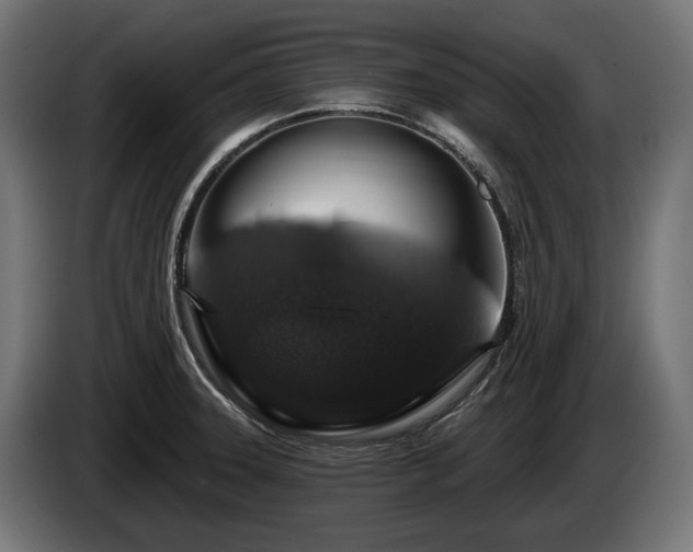 X0000084521331200703021347