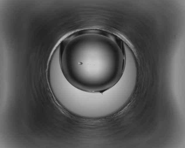 X0000084521332200703021347